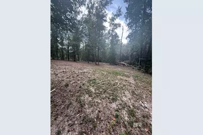 43807 State Highway 225, Bay Minette, AL 36507 - Photo 5