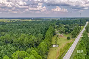 31079 US Hwy 90, Seminole, AL 36574 - Photo 55