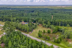 31079 US Hwy 90, Seminole, AL 36574 - Photo 53