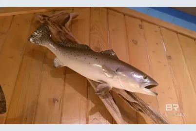 2432 W Beach Boulevard, Gulf Shores, AL 36542 - Photo 49