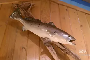 2432 W Beach Blvd, Gulf Shores, AL 36542 - Photo 49