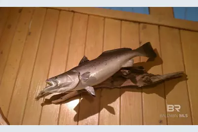 2432 W Beach Boulevard, Gulf Shores, AL 36542 - Photo 47