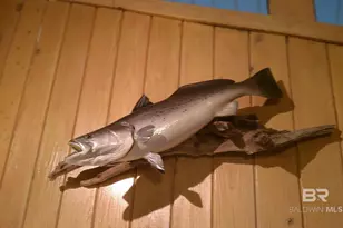 2432 W Beach Blvd, Gulf Shores, AL 36542 - Photo 47