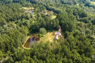 7987 Juniper Creek Dr, Wilmer, AL 36587 - Photo 23