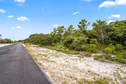 Ono North Loop West, Orange Beach, AL 36561 - Photo 13