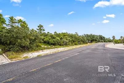 Ono North Loop West, Orange Beach, AL 36561 - Photo 15