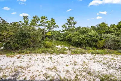 Ono North Loop West, Orange Beach, AL 36561 - Photo 17