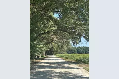 21021 Rachel Myers Lane, Fairhope, AL 36532 - Photo 49