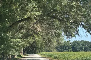 21021 Rachel Myers Ln, Fairhope, AL 36532 - Photo 49