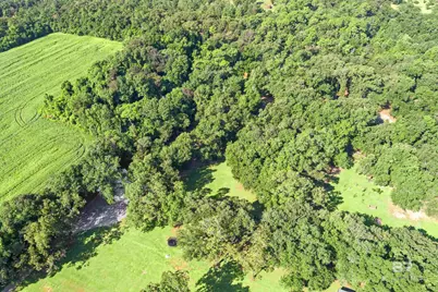 21021 Rachel Myers Lane, Fairhope, AL 36532 - Photo 43