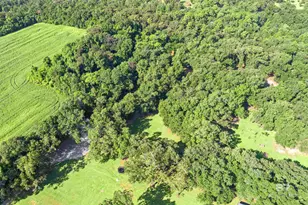 21021 Rachel Myers Ln, Fairhope, AL 36532 - Photo 43