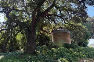 919 Hickory St, Foley, AL 36535 - Photo 1