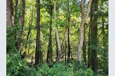 23595 County Road 47, Perdido, AL 36562 - Photo 61