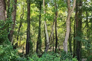 23595 Co Rd 47, Perdido, AL 36562 - Photo 61