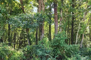 23595 Co Rd 47, Perdido, AL 36562 - Photo 57