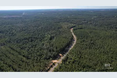 0 County Road 87, Robertsdale, AL 36567 - Photo 3