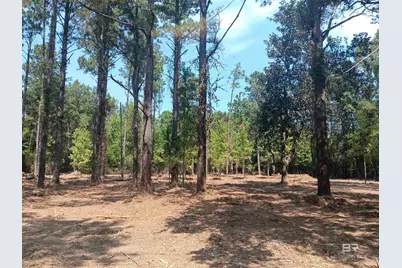 16253 Tolbert Road, Bay Minette, AL 36507 - Photo 7