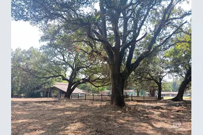 16253 Tolbert Road, Bay Minette, AL 36507 - Photo 9