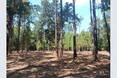 16253 Tolbert Road, Bay Minette, AL 36507 - Photo 5