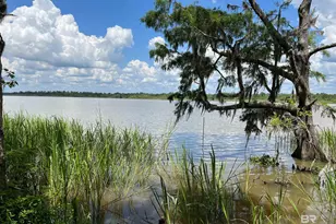 31654 Bramshell Dr, Spanish Fort, AL 36527 - Photo 23