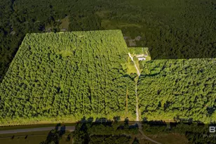 9350 Tompkins Rd, Stockton, AL 36579 - Photo 3