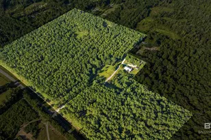 9350 Tompkins Rd, Stockton, AL 36579 - Photo 5