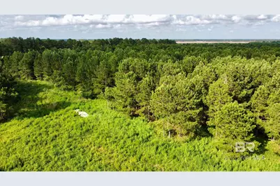 0 James Road, Foley, AL 36535 - Photo 1