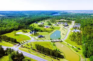 441 Leavie Ln, Fairhope, AL 36532 - Photo 41