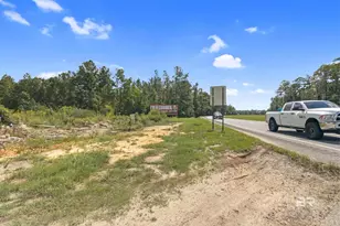 48980 Rabun Rd, Bay Minette, AL 36507 - Photo 13