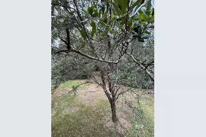 45435 Chalet Drive, Bay Minette, AL 36507 - Photo 35