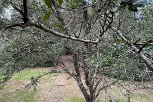 45435 Chalet Dr, Bay Minette, AL 36507 - Photo 35