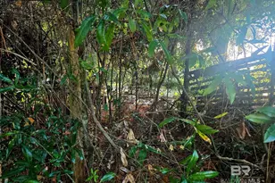 127 Shelton Beach Rd, Mobile, AL 36571 - Photo 5