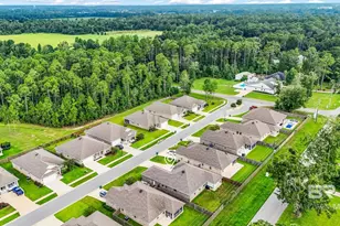 917 Ruisseau Dr, Foley, AL 36535 - Photo 43