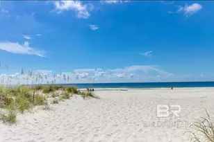 5601 State Hwy 180, Gulf Shores, AL 36542 - Photo 43