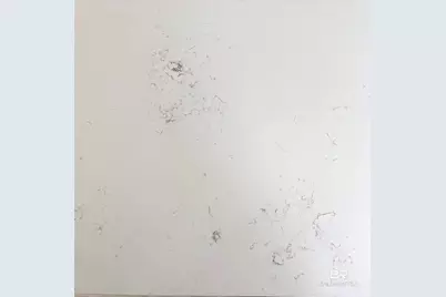 35650 N Spring Road, Stapleton, AL 36578 - Photo 17