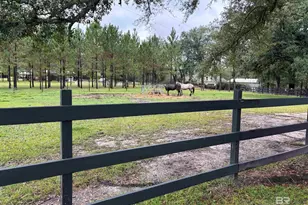 19402 Steadham Ln, Robertsdale, AL 36567 - Photo 59