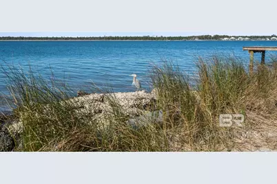 5328 Pensacola Avenue, Orange Beach, AL 36561 - Photo 75