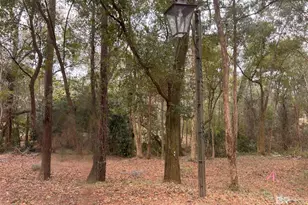 16 Viale Bellezza, Fairhope, AL 36532 - Photo 1