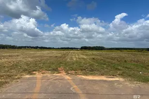 0 County Road 26, Foley, AL 36525 - Photo 3