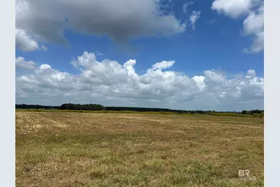 0 County Road 26, Foley, AL 36525 - Photo 5