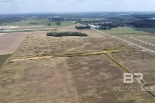 0 County Road 26, Foley, AL 36525 - Photo 7