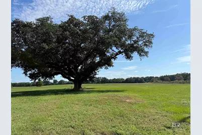 10010 Weeks Road, Foley, AL 36535 - Photo 3
