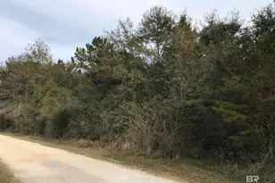 24050 N River Rd, Daphne, AL 36526 - Photo 1