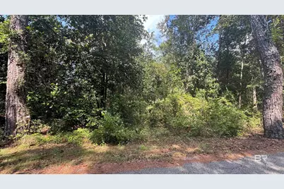 Lot 5 Dogwood Dells Circle, Foley, AL 36535 - Photo 1
