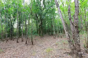 17440 Old Brady Rd, Bay Minette, AL 36507 - Photo 13