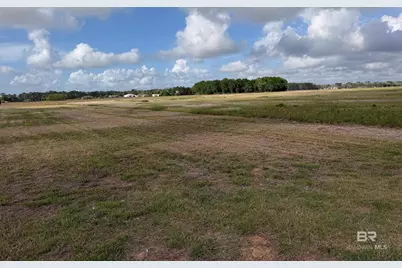 0 County Road 65, Foley, AL 36525 - Photo 9