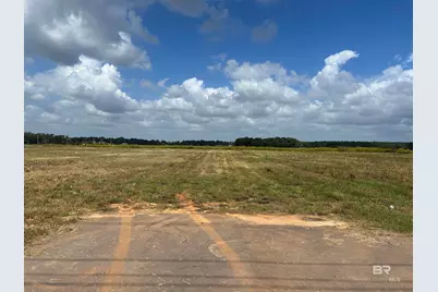 0 County Road 65, Foley, AL 36525 - Photo 3