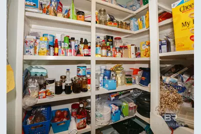 12558 Frondfield Lane, Elberta, AL 36530 - Photo 19