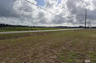 0 County Road 26, Foley, AL 36525 - Photo 11
