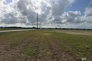 0 County Road 26, Foley, AL 36525 - Photo 9